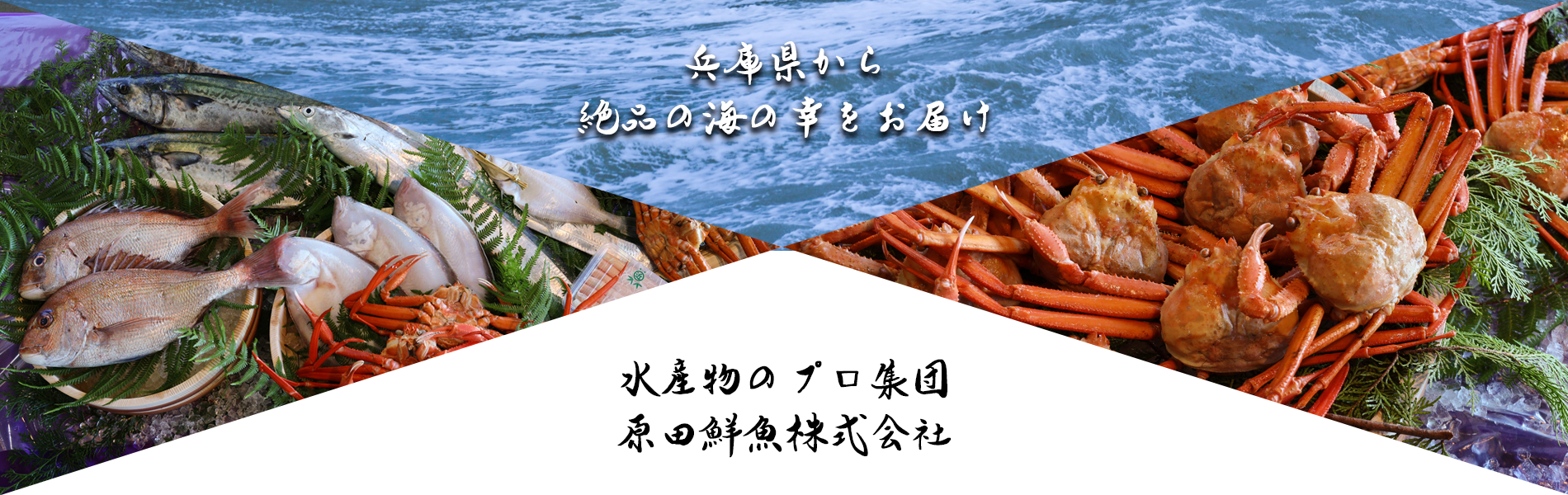 水産物のプロ集団原田鮮魚株式会社